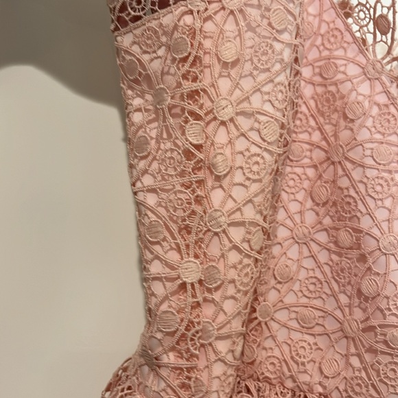 NWT Zac Posen Viola Lace Pink Salmon Dress - Picture 6 of 12